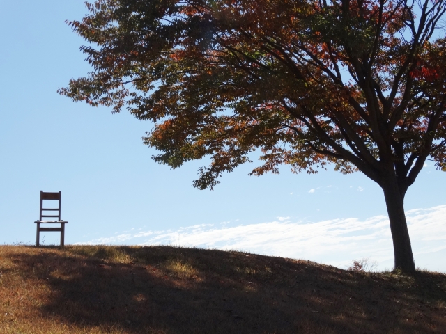 草原と木と椅子の画像