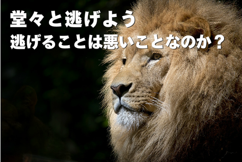 怖そうな猛獣の画像