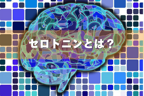 セロトニンとは？