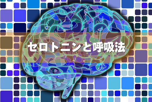 セロトニンと呼吸法