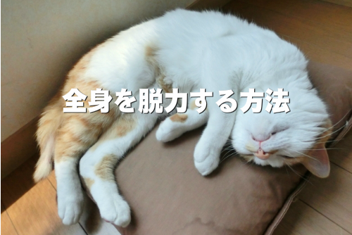 脱力しきった猫の画像