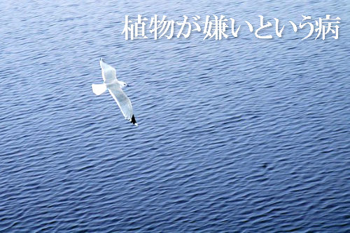 独自の生き方を表現した画像