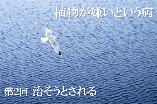 独自の生き方を表現した画像