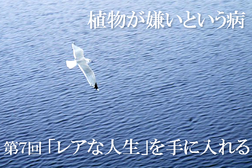 独自の生き方を表現した画像