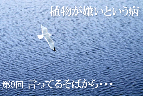 独自の生き方を表現した画像